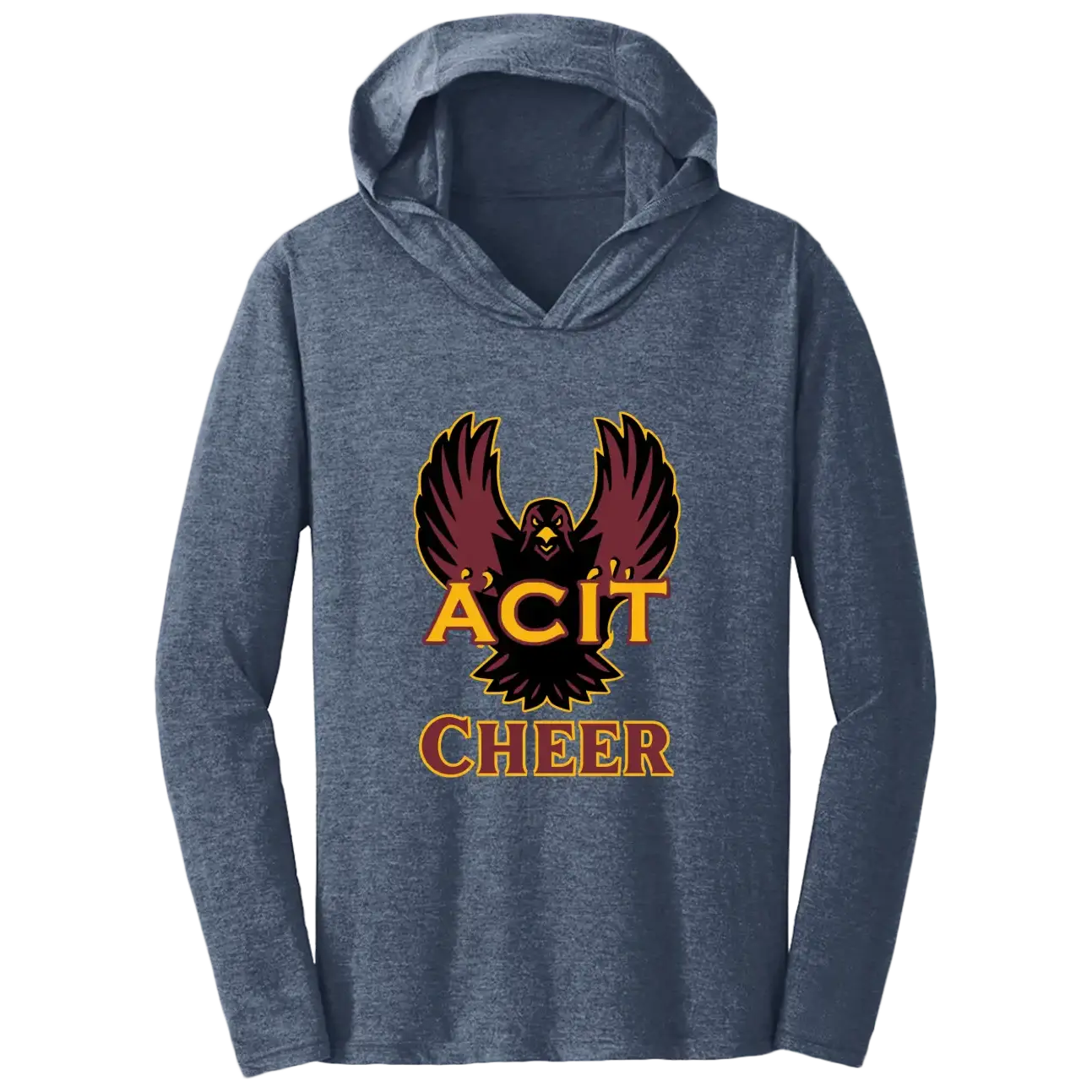 ACIT Cheer Hoodies