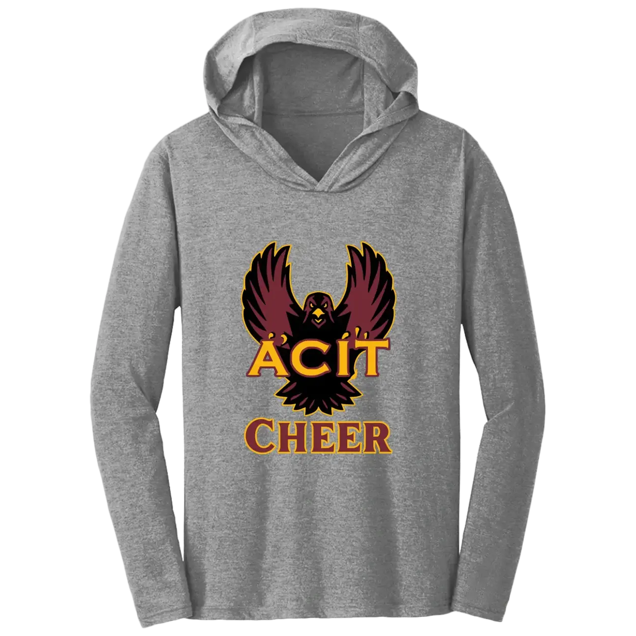 ACIT Cheer Hoodies