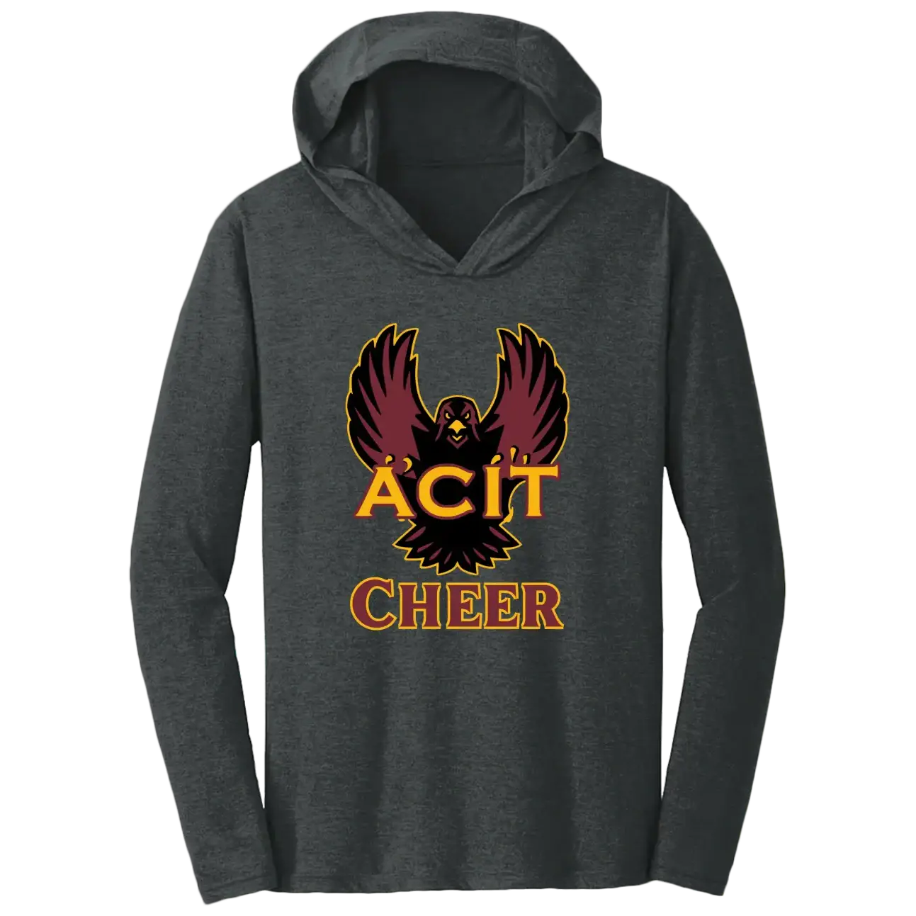 ACIT Cheer Hoodies