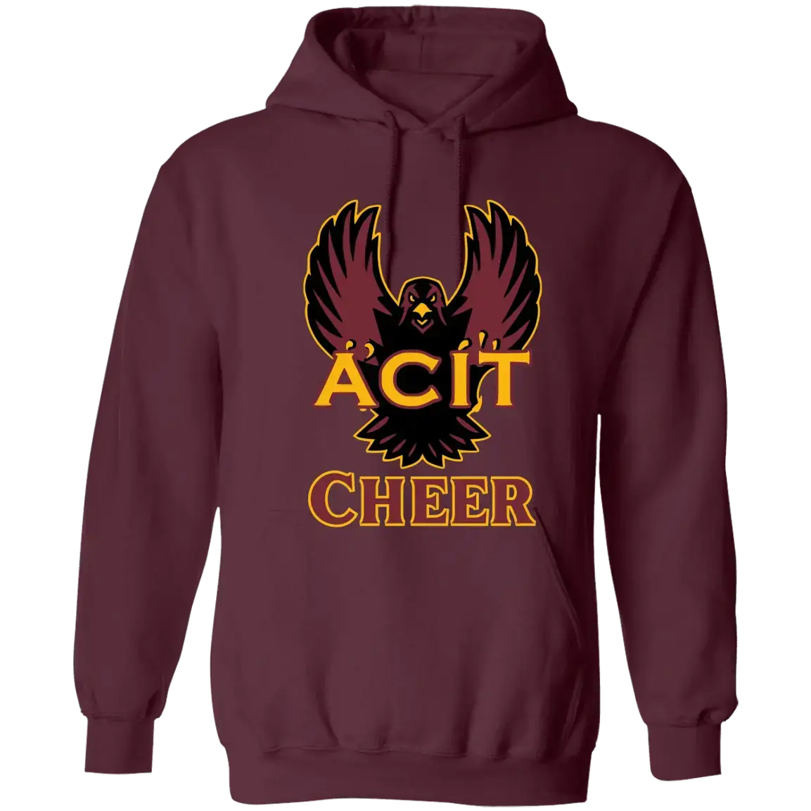 ACIT Cheer Hoodies