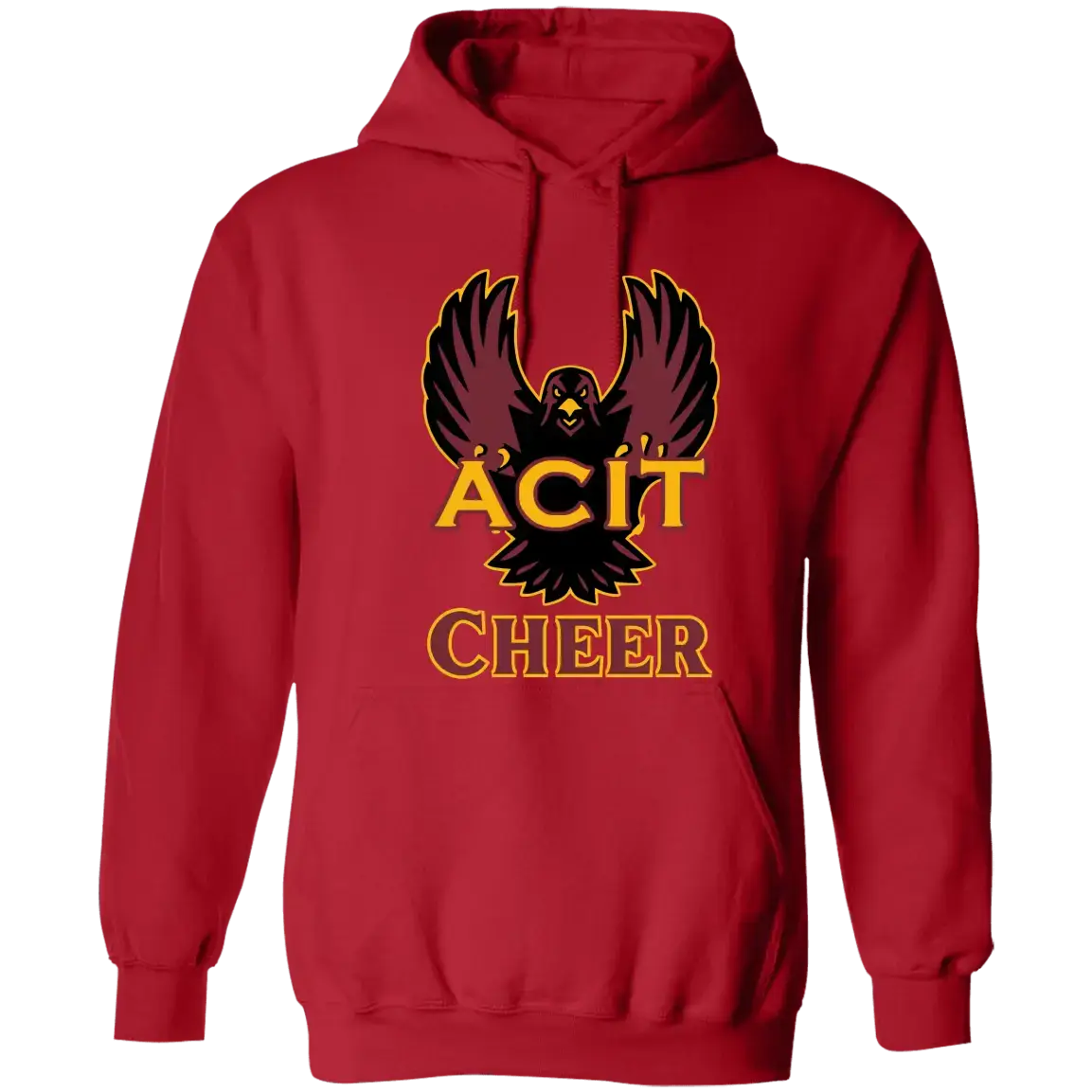 ACIT Cheer Hoodies