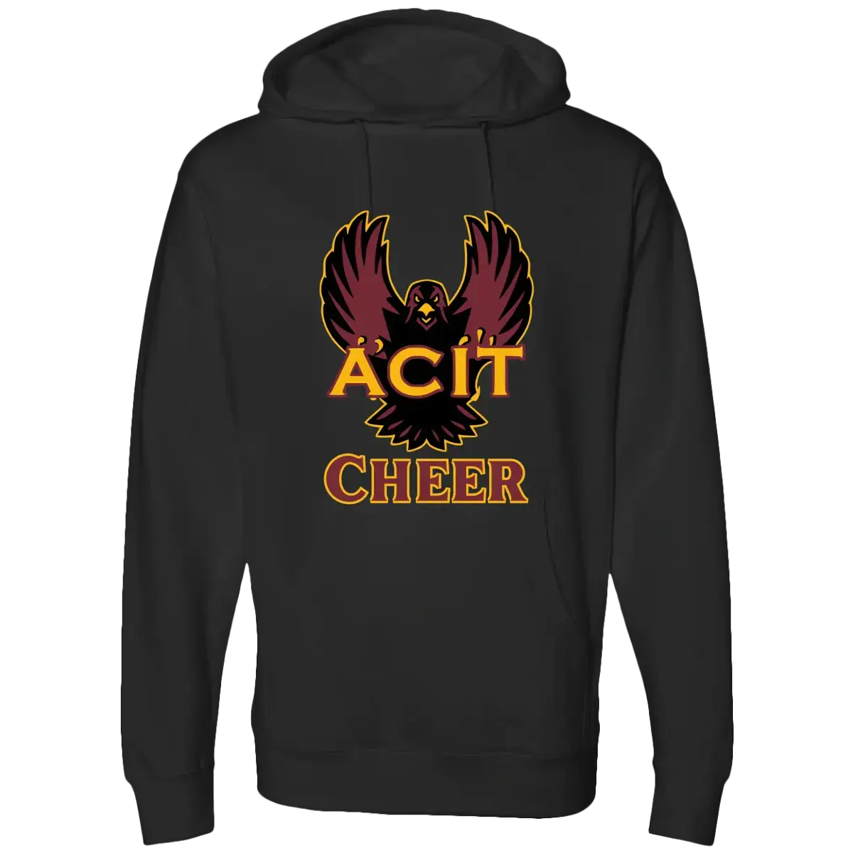 ACIT Cheer Hoodies