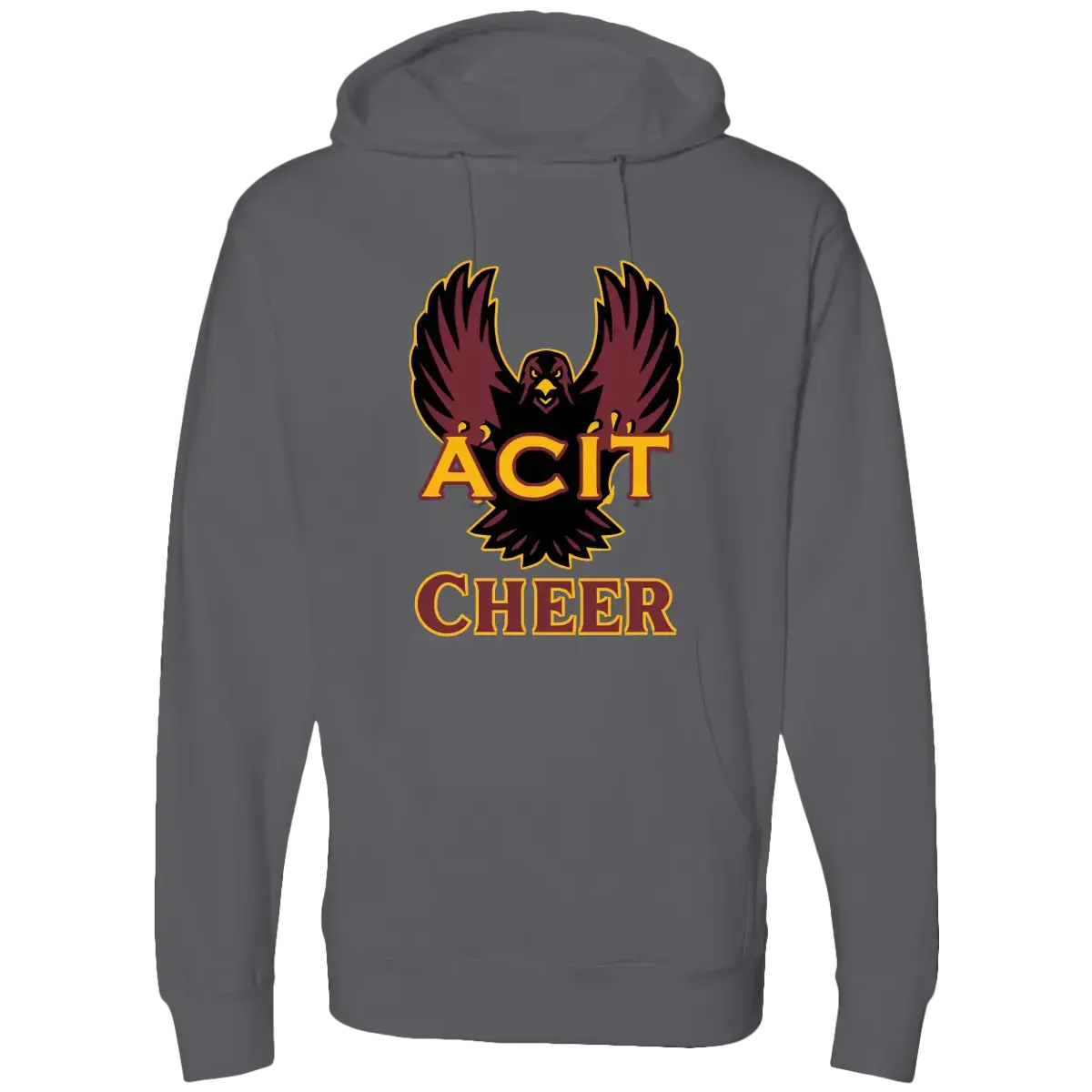 ACIT Cheer Hoodies