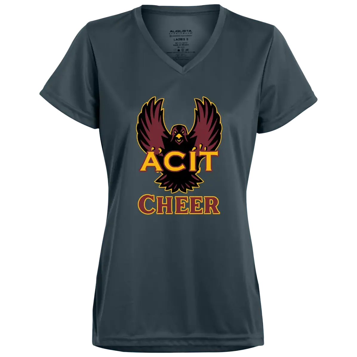 ACIT Cheer Ladies Tees