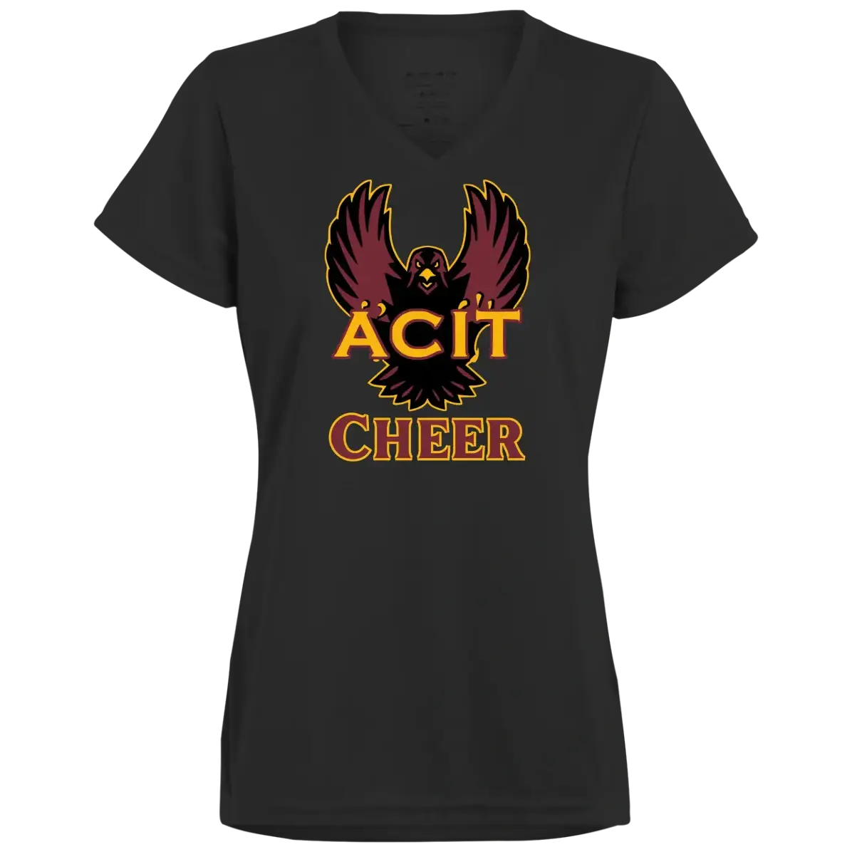 ACIT Cheer Ladies Tees