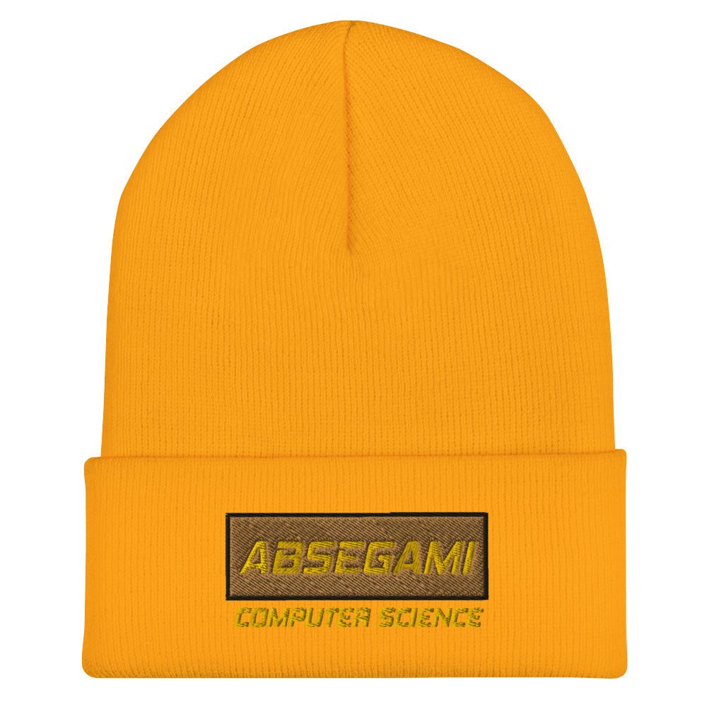 Absegami CompSci Cuffed Beanie